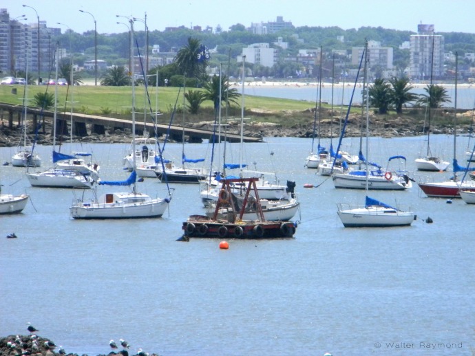 Puerto de Yates, Montevideo