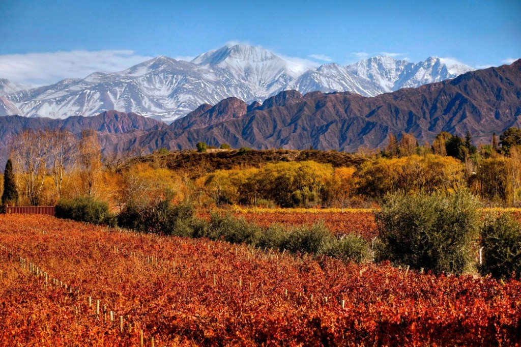 Disfrutar de la vinoterapia y Hammam en Argentina