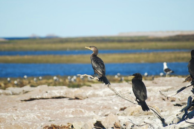 Visitar Patagonia para redescubrirte