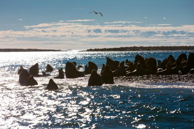 Visitar Patagonia para redescubrirte