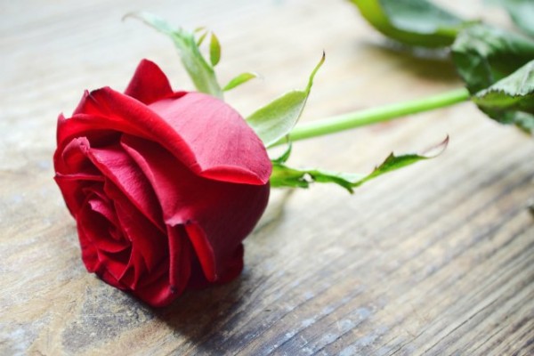 Dating After 50: Yes You Can!
