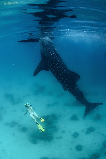 Holbox: Mexico's secret island paradise