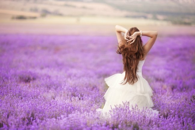 Efectos relajantes del papel higiénico con aroma a lavanda