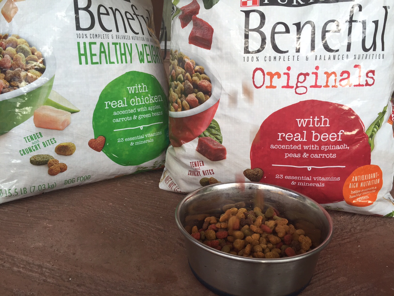 Asi mantenemos feliz a nuestro perro Toby