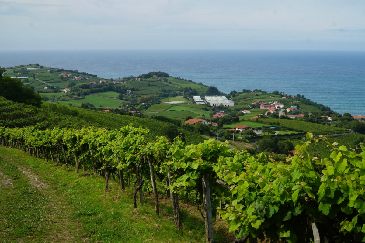 landscape of the basque country