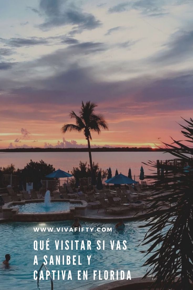 Si vienes a Florida alguna vez, no te pierdas las islas de Sanibel y Captiva, cerca de Fort Myers. Son espectaculares y tienen algunos tesoros escondidos.