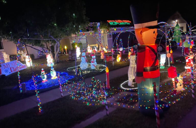 Top 10 outdoor activities for Sarasota, Florida Viva Fifty!