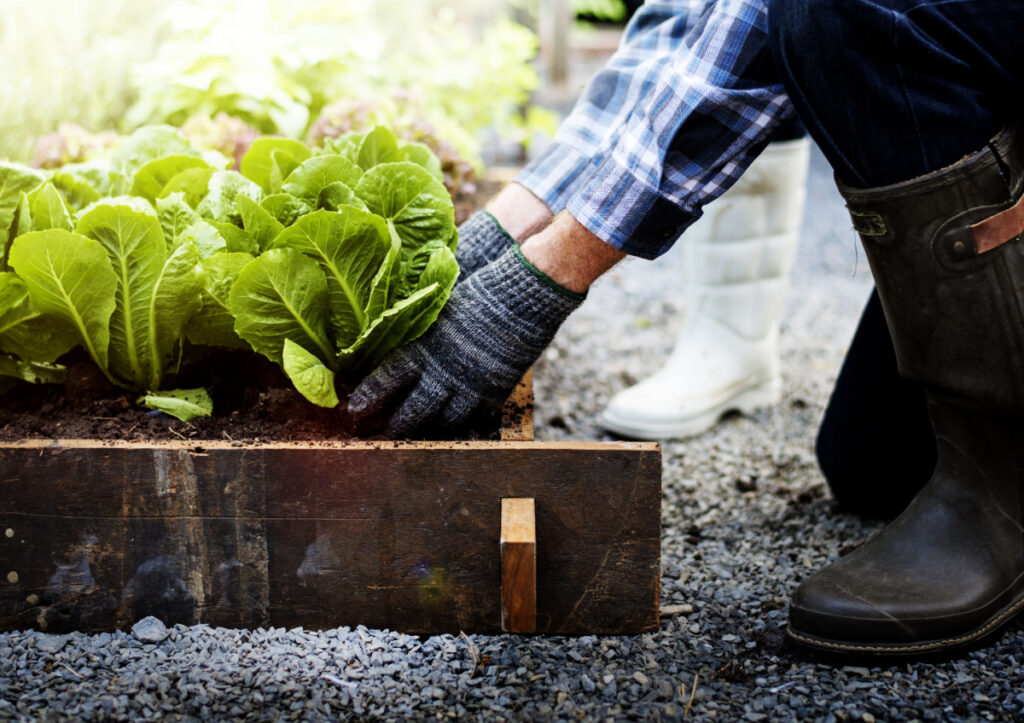 Gardening is not only good for your plants, it´s beneficial physically, mentally, and emotionally.