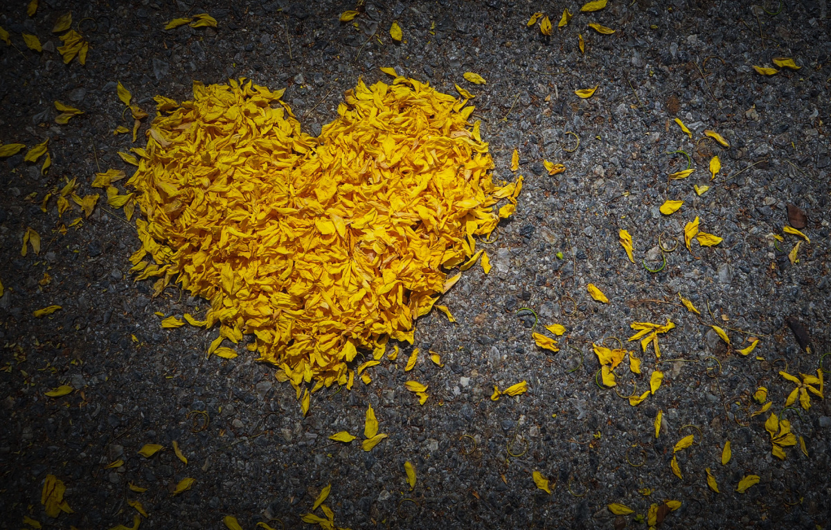 Books to help through the grieving process are often a practical and helpful way to help a friend navigate loss in midlife.